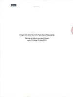 Báo cáo tài chính năm 2015 (đã kiểm toán) - Công ty Cổ phần Bảo hiểm Ngân hàng Nông nghiệp