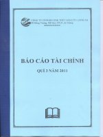 Báo cáo tài chính công ty mẹ quý 3 năm 2011 - Công ty cổ phần Xuất nhập khẩu Thủy sản Cửu Long An Giang
