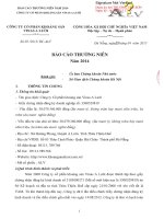 Báo cáo thường niên năm 2014 - Công ty Cổ phần Khoáng sản Vinas A Lưới