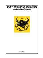 Báo cáo thường niên năm 2015 - Công ty cổ phần Phân bón Bình Điền