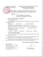 Báo cáo tài chính quý 1 năm 2015 - Công ty Cổ phần Đầu tư Xây dựng 3-2