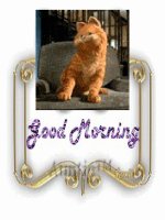 Cach trinh bay bang lop cua giao vien tieu hoc 