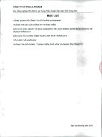 Báo cáo thường niên năm 2010 - Công ty Cổ phần Đầu tư Alphanam