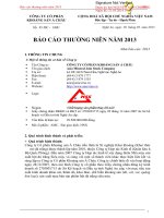 Báo cáo thường niên năm 2013 - Công ty cổ phần Khoáng sản Á Châu