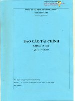Báo cáo tài chính công ty mẹ quý 2 năm 2015 - Công ty Cổ phần Đồ hộp Hạ Long