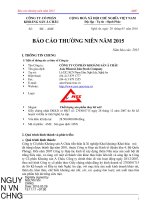 Báo cáo thường niên năm 2015 - Công ty cổ phần Khoáng sản Á Châu