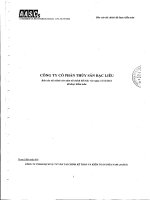 Báo cáo tài chính năm 2012 (đã kiểm toán) - Công ty Cổ phần Thủy sản Bạc Liêu