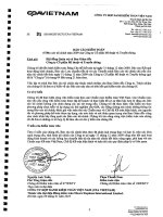 Báo cáo tài chính năm 2009 (đã kiểm toán) - Công ty Cổ phần Mĩ thuật và Truyền thông