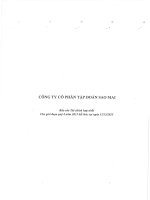 Báo cáo tài chính hợp nhất quý 4 năm 2015 - Công ty Cổ phần Tập đoàn Sao Mai