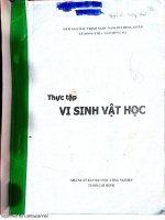 Thực hành vi sinh vật p1 IUH đại học công nghiệp TP HCM