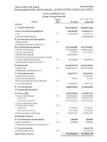 Báo cáo tài chính quý 1 năm 2011 - Công ty Cổ phần Cà phê An Giang