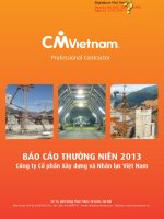 Báo cáo thường niên năm 2013 - Công ty cổ phần Xây dựng và Nhân lực Việt Nam