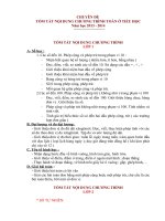 Tom tat chuong trinh TOAN TIEU HOC 