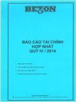 Báo cáo tài chính hợp nhất quý 4 năm 2014 - Công ty Cổ phần Beton 6