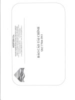 Báo cáo tài chính quý 1 năm 2011 - Công ty Cổ phần Xuất nhập khẩu Thủy sản An Giang