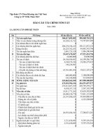 Báo cáo tài chính năm 2008 (đã kiểm toán) - CTCP Xuất nhập khẩu Than - Vinacomin