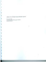 Báo cáo tài chính năm 2012 (đã kiểm toán) - Công ty Cổ phần Bao bì Tiền Giang