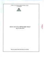 Báo cáo tài chính hợp nhất quý 2 năm 2015 - Công ty Cổ phần Chế biến và Xuất nhập khẩu Thuỷ sản Cà Mau