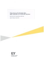 Báo cáo tài chính công ty mẹ năm 2014 (đã kiểm toán) - Tổng Công ty Cổ phần Bảo hiểm Ngân hàng Đầu tư và phát triển Việt Nam