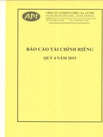 Báo cáo tài chính công ty mẹ quý 4 năm 2015 - Công ty Cổ phần Chiếu xạ An Phú