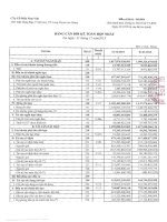 Báo cáo tài chính hợp nhất quý 4 năm 2015 - Công ty Cổ phần Nam Việt