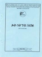Báo cáo tài chính quý 4 năm 2012 - Công ty cổ phần Đầu tư và Phát triển Đô thị Dầu khí Cửu Long