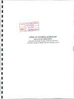 Báo cáo tài chính công ty mẹ quý 2 năm 2011 (đã soát xét) - Công ty Cổ phần Đầu tư Alphanam
