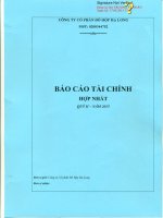 Báo cáo tài chính hợp nhất quý 2 năm 2015 - Công ty Cổ phần Đồ hộp Hạ Long
