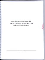 Báo cáo tài chính quý 2 năm 2013 (đã soát xét) - Công ty Cổ phần Chứng khoán BETA