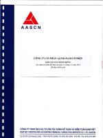 Báo cáo tài chính công ty mẹ năm 2012 (đã kiểm toán) - Công ty Cổ phần Alphanam E&C