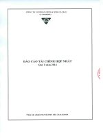 Báo cáo tài chính hợp nhất quý 1 năm 2014 - Công ty Cổ phần Chế biến và Xuất nhập khẩu Thuỷ sản Cà Mau