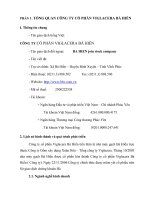 Báo cáo thường niên năm 2011 - Công ty Cổ phần Viglacera Bá Hiến