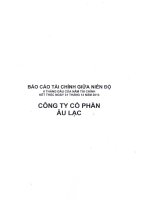 Báo cáo tài chính quý 2 năm 2013 (đã kiểm toán) - CTCP Âu Lạc