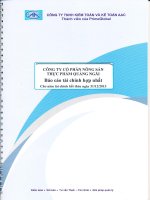 Báo cáo thường niên năm 2013 - CTCP Nông sản thực phẩm Quảng Ngãi