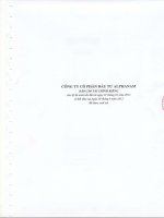 Báo cáo tài chính công ty mẹ quý 2 năm 2012 (đã soát xét) - Công ty Cổ phần Đầu tư Alphanam