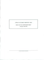 Báo cáo tài chính hợp nhất quý 1 năm 2011 - Công ty Cổ phần Đầu tư BVG