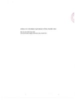 Báo cáo tài chính hợp nhất quý 1 năm 2013 - Công ty Cổ phần Tập đoàn Công nghệ CMC