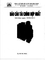 Báo cáo tài chính hợp nhất quý 2 năm 2013 - Công ty Cổ phần Đầu tư Xây dựng Bình Chánh