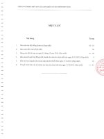 Báo cáo tài chính hợp nhất năm 2012 (đã kiểm toán) - Công ty Cổ phần Thủy Sản Cửu Long