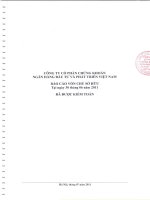 Báo cáo tài chính quý 2 năm 2011 - Công ty cổ phần Chứng khoán Ngân hàng Đầu tư và Phát triển Việt Nam