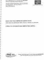 Báo cáo tài chính năm 2009 (đã kiểm toán) - Tổng CTCP Bảo hiểm Bảo Long
