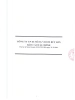 Báo cáo tài chính quý 4 năm 2013 - Công ty cổ phần Xi măng Vicem Bút Sơn