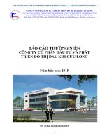 Báo cáo thường niên năm 2015 - Công ty cổ phần Đầu tư và Phát triển Đô thị Dầu khí Cửu Long