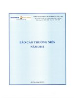 Báo cáo thường niên năm 2012 - Công ty Cổ phần Chứng khoán Bảo Việt