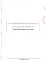 Báo cáo tài chính năm 2012 (đã kiểm toán) - Công ty Cổ phần Chứng khoán Châu Á – Thái Bình Dương