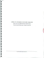 Báo cáo tài chính năm 2010 (đã kiểm toán) - Công ty Cổ phần Cấp nước Chợ Lớn