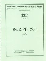 Báo cáo tài chính quý 4 năm 2011 - Công ty cổ phần Đầu tư và Phát triển Đô thị Dầu khí Cửu Long
