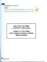 Báo cáo tài chính quý 2 năm 2010 (đã kiểm toán) - Công ty Cổ phần Xây dựng và Giao thông Bình Dương