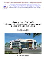 Báo cáo thường niên năm 2013 - Công ty cổ phần Đầu tư và Phát triển Đô thị Dầu khí Cửu Long