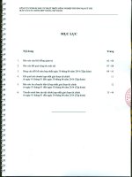 Báo cáo tài chính hợp nhất quý 2 năm 2014 (đã soát xét) - Công ty Cổ phần Đầu tư Phát triển Công nghiệp - Thương mại Củ Chi